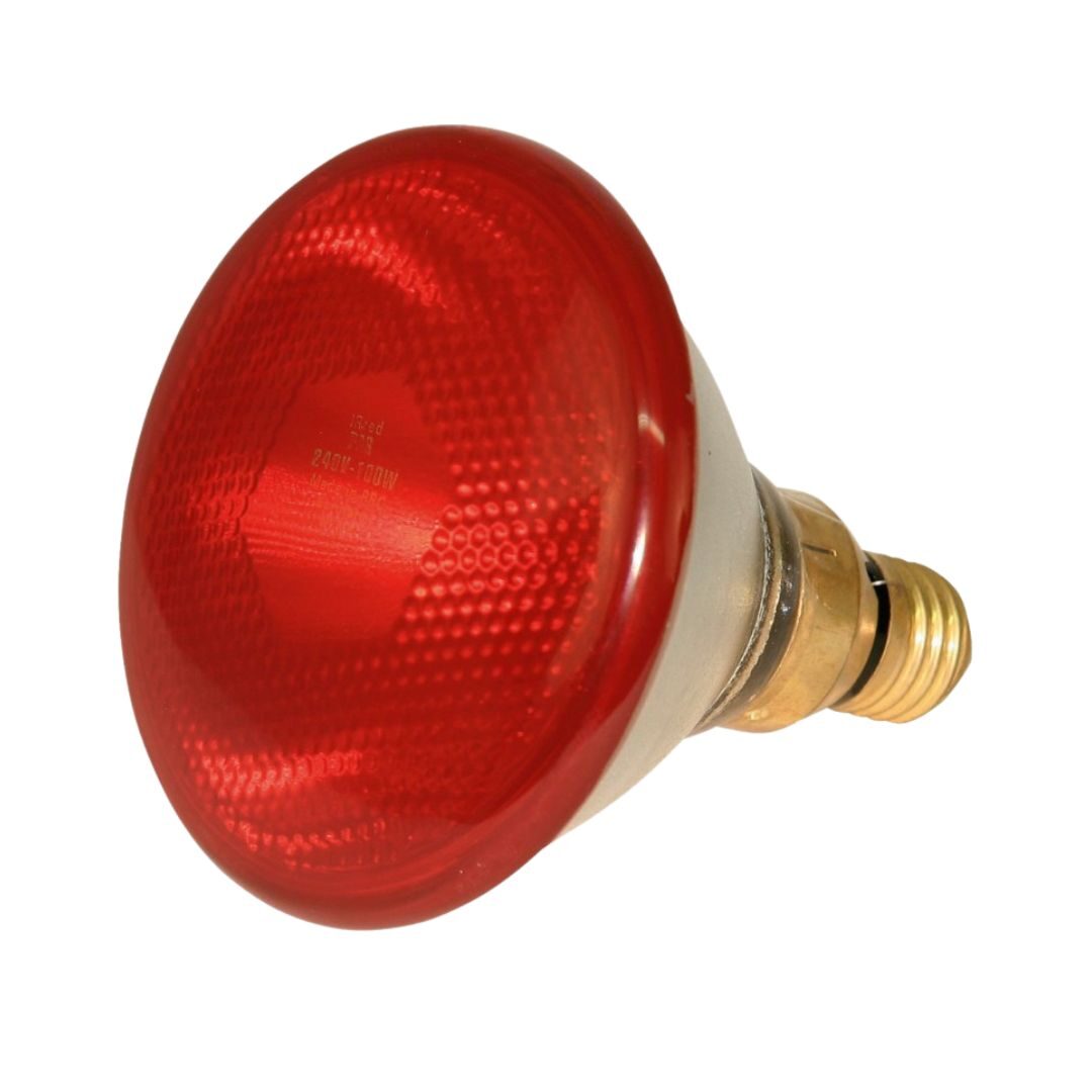 lampe-infra-rouge