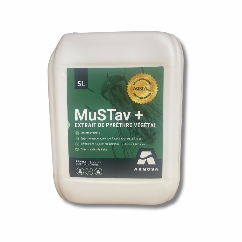 mustav-plus