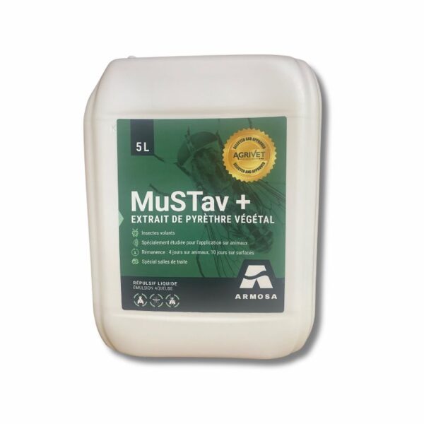 mustav +