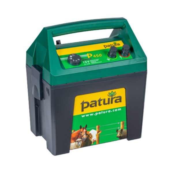 MAXI BOX P450 électrificateur 12V