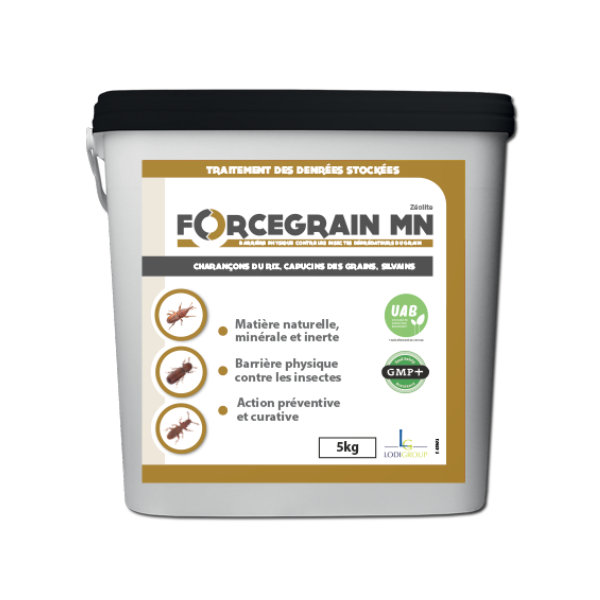 Forcegrain-MN