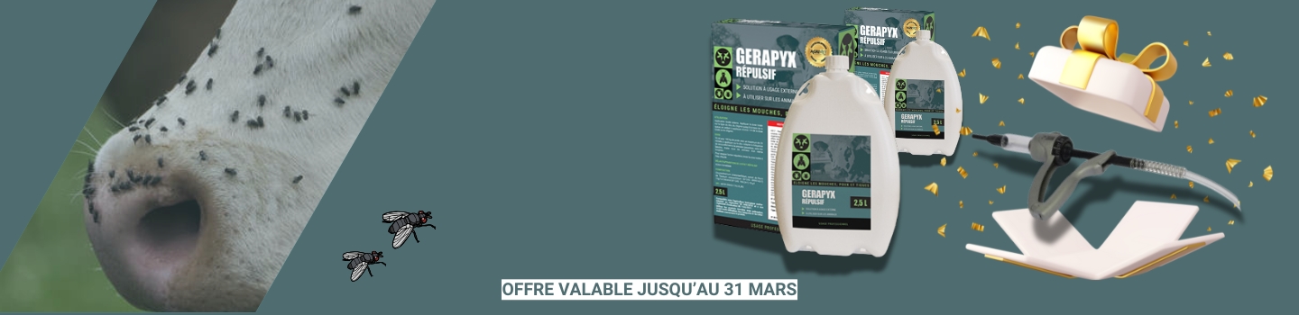 slider-offre-gerapyx (8)